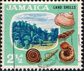 Jamaica 1964 SG 220 Shells Fine Used