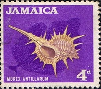 Jamaica 1964 SG 222 Shell Fine Used