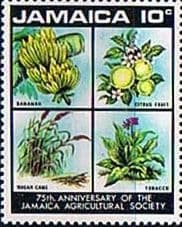 Jamaica 1970 Agricultural Society 75th Anniversary