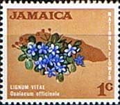 Jamaica 1970 SG 307 Lignum Vitae Flower Fine Mint