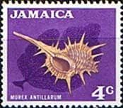 Jamaica 1970 SG 310 Decimal Shell Fine Mint