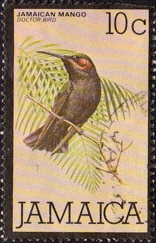 Jamaica 1979 Jamaican Mango Bird SG 468 Fine Used