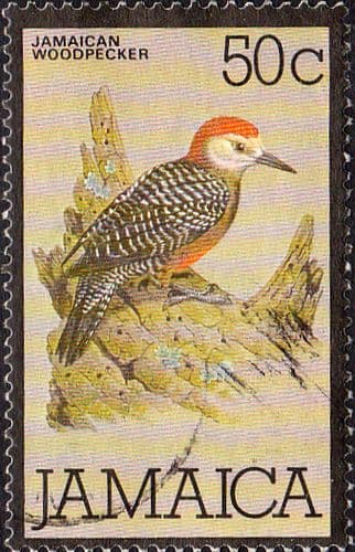 Jamaica 1979 Jamaican Woodpecker Bird SG 472 Fine Used
