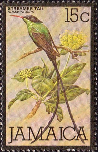 Jamaica 1979 Streamertail Bird SG 470 Fine Used