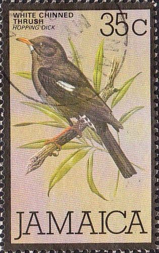Jamaica 1979 White-chinned thrush Bird SG 471 Fine Used