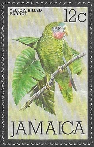 Jamaica 1979 Yellow-billed Amazon Bird SG 469 Fine Mint