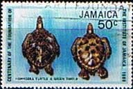 Jamaica 1980 Institute of Jamaica Hawksbill Turtle and Green Turtle SG 496 Fine Used