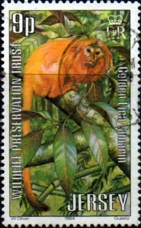 Jersey 1984 Wildlife Preservation Trust SG 324 Fine Used