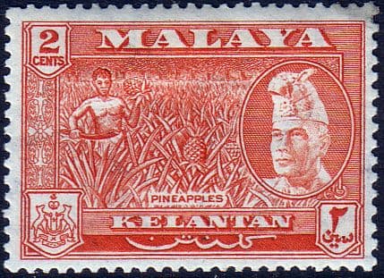 Kelantan 1957 SG 84 Pineapples Fine Mint