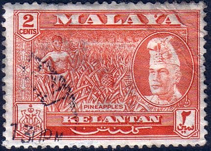 Kelantan 1957 SG 84 Pineapples Fine Used