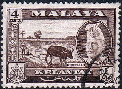 Kelantan 1957 SG 85 Rice Fields Fine Used