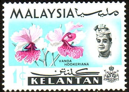 Kelantan 1965 Flowers Orchids SG 103 Fine Mint