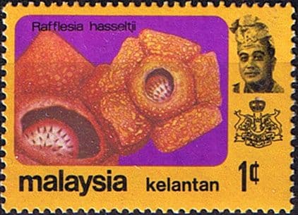 Kelantan 1979 Flowers SG 123 Fine Mint