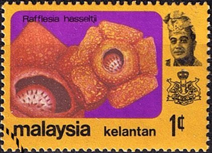 Kelantan 1979 Flowers SG 123 Fine Used