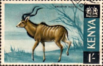 Kenya 1966 Republic Animals SG 29 Fine Used