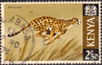 Kenya 1966 Republic Animals SG 32 Fine Used