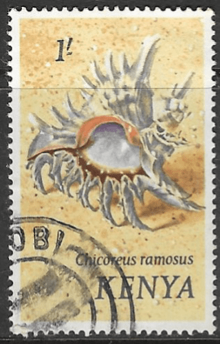 Kenya 1971 Shells SG 47 Fine Used