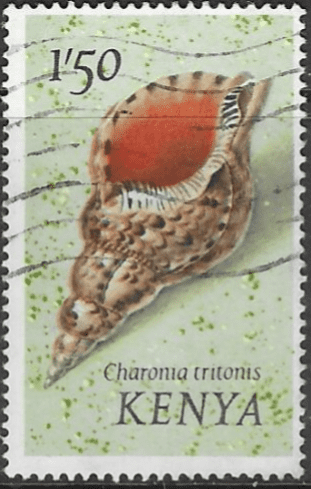 Kenya 1971 Shells SG 48 Fine Used