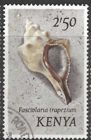 Kenya 1971 Shells SG 49 Fine Used