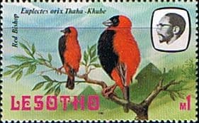 Lesotho 1981 Birds SG 448 Red Bishop Fine Mint