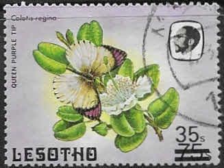 Lesotho 1986 Flowers Surcharged SG 721 Fine Used