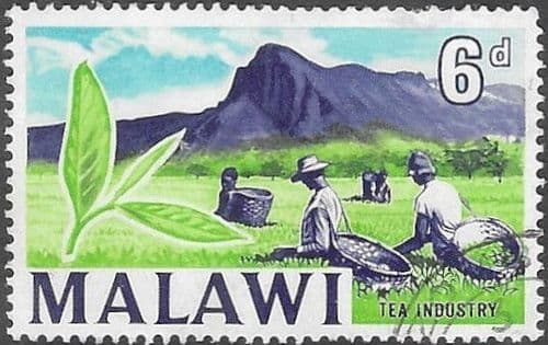 Malawi 1964 SG 220 Tea Plantation Fine Used