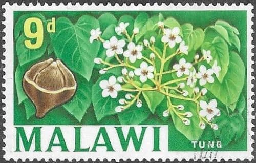 Malawi 1964 SG 221 Tung Tree Fine Used