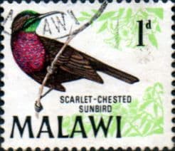 Malawi 1968 Birds SG 310 Fine Used
