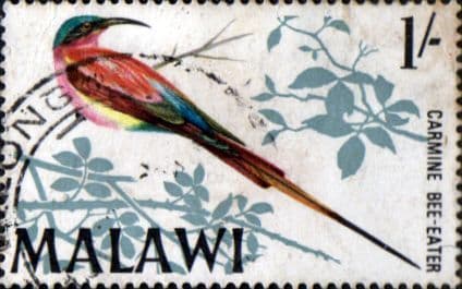 Malawi 1968 Birds SG 316 Fine Used