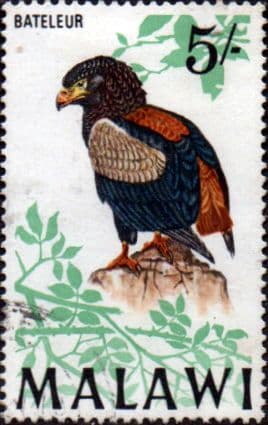 Malawi 1968 Birds SG 320 Fine Used