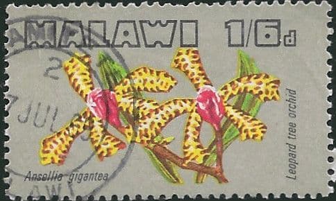 Malawi 1969 Orchids SG 331 Fine Used