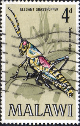 Malawi 1970 Insects SG 345 Fine Used