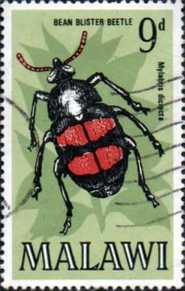 Malawi 1970 Insects SG 346 Fine Used