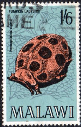 Malawi 1970 Insects SG 347 Fine Used