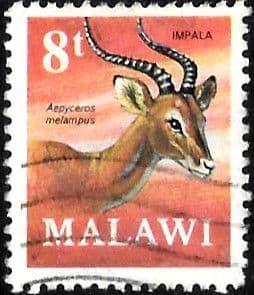 Malawi 1971 Antelopes SG 379 Fine Used