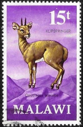 Malawi 1971 Antelopes SG 381 Fine Used