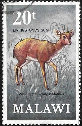 Malawi 1971 Antelopes SG 382 Fine Used