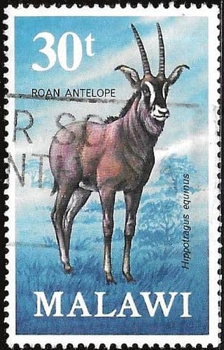Malawi 1971 Antelopes SG 383 Fine Used
