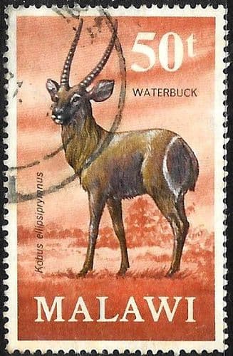 Malawi 1971 Antelopes SG 384 Fine Used
