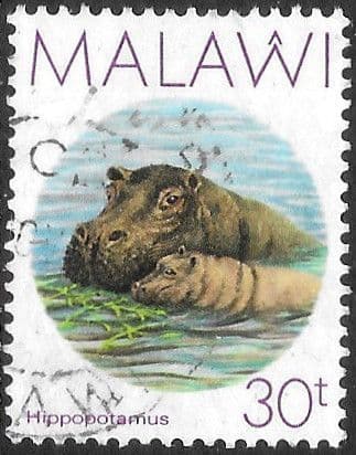Malawi 1987 Hippopotamus SG 773 Fine Used