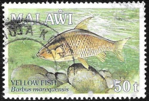 Malawi 1988 Anniversary of Malawi Angling Society SG 815 Fine Used