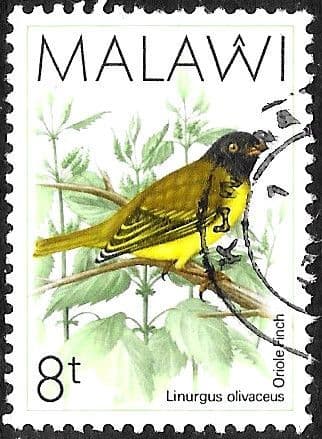 Malawi 1988 Birds SG 793 Fine Used
