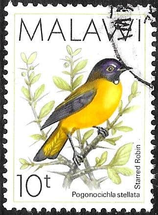 Malawi 1988 Birds SG 794 Fine Used