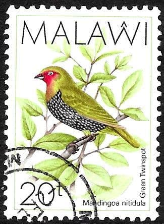 Malawi 1988 Birds SG 796 Fine Used