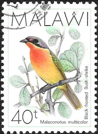 Malawi 1988 Birds SG 798 Fine Used