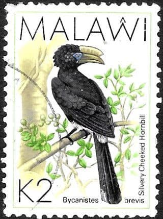 Malawi 1988 Birds SG 802 Fine Used