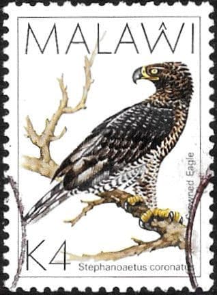 Malawi 1988 Birds SG 803 Fine Used