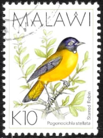 Malawi 1988 Birds SG 804a Fine Used