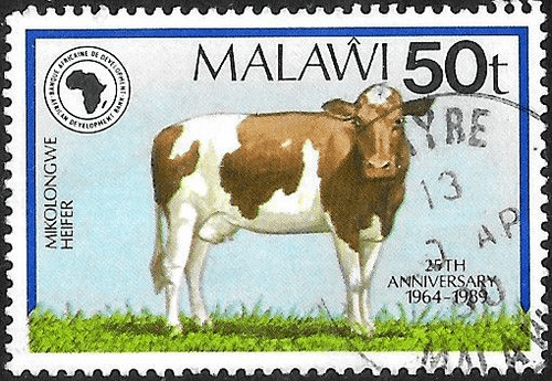 Malawi 1989 25th Anniversary of African Development Bank SG 823 Fine Used