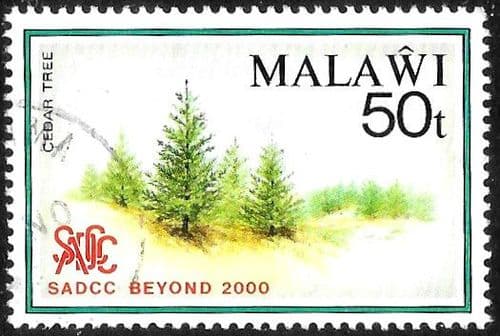 Malawi 1990 Anniversary of Southern Africa Development Co-ordination Conference SG 845 Fine Used